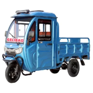 Closed Cabin Electric Cargo Tricycle BM1